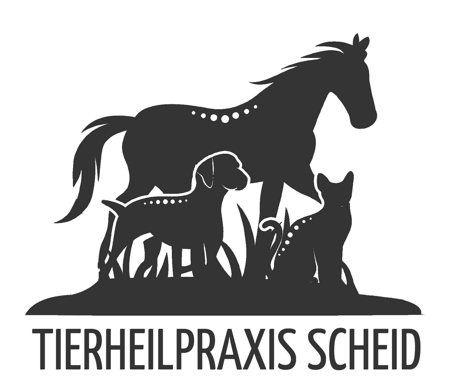 Tierheilpraxis Dominik Scheid